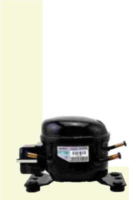 L GANGO